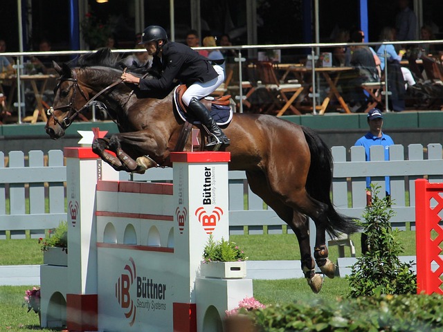 2024年快乐周末活动天坛体育活动中心启动.