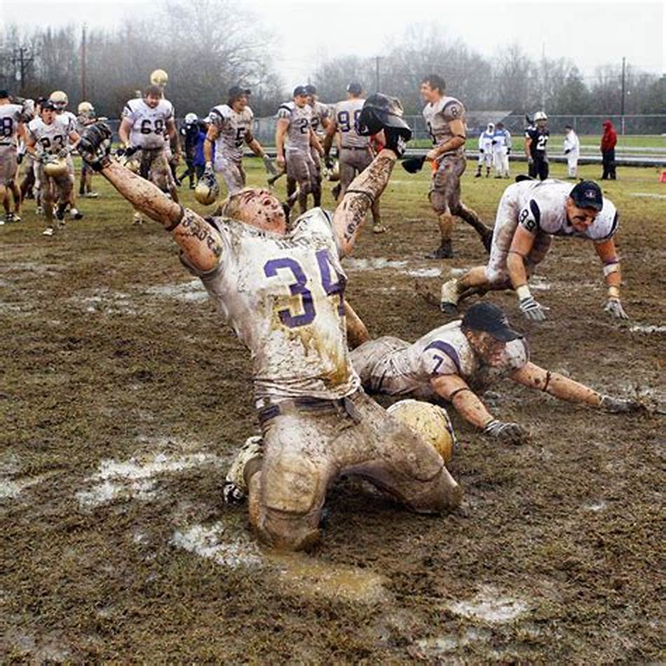 数据对比揭 数据对比揭